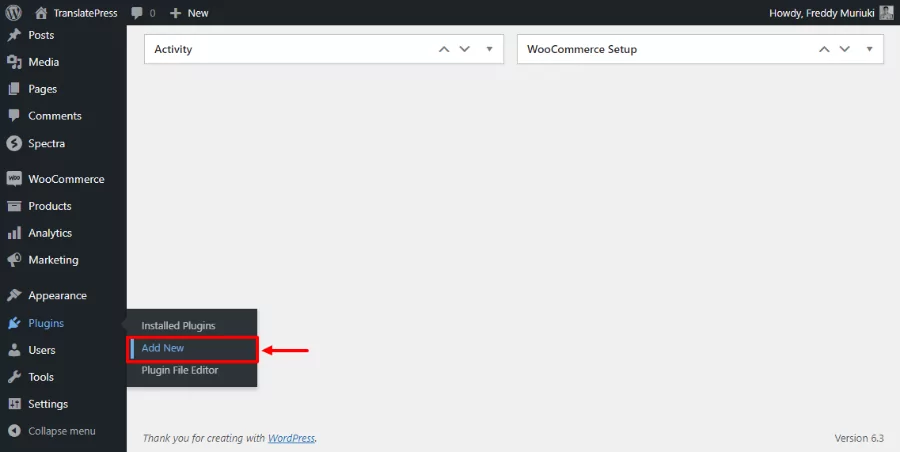 installing the translatepress plugin for french website translation