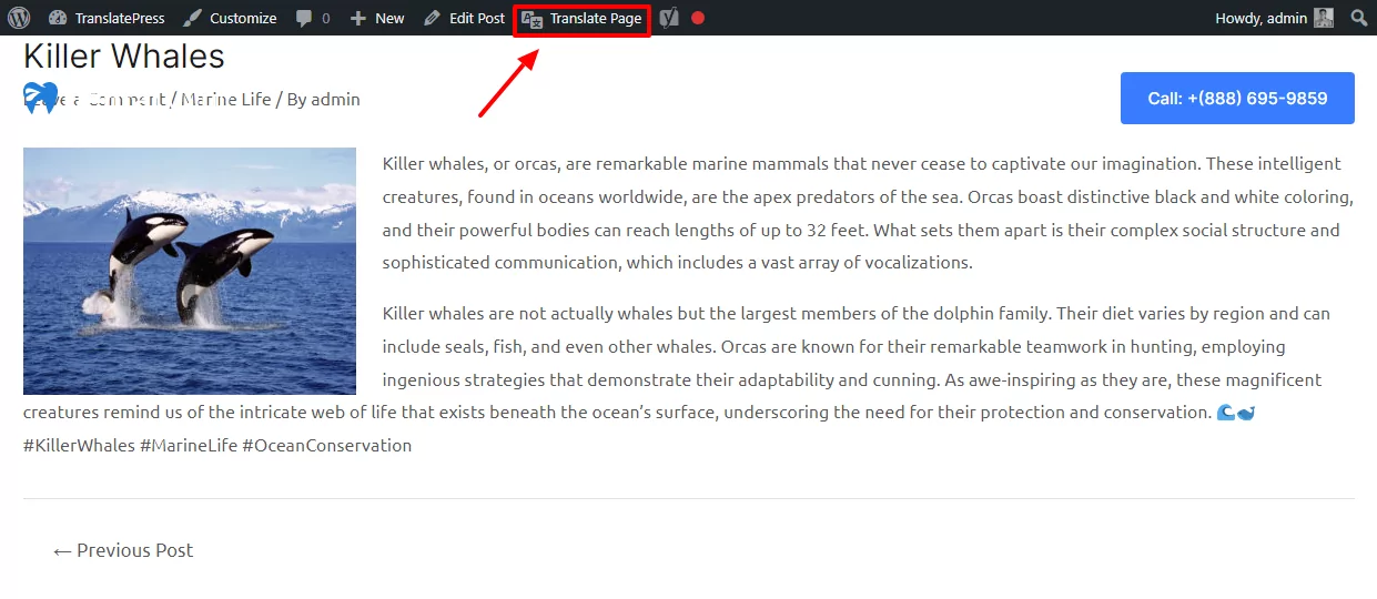 Accessing the TranslatePress visual editing interface