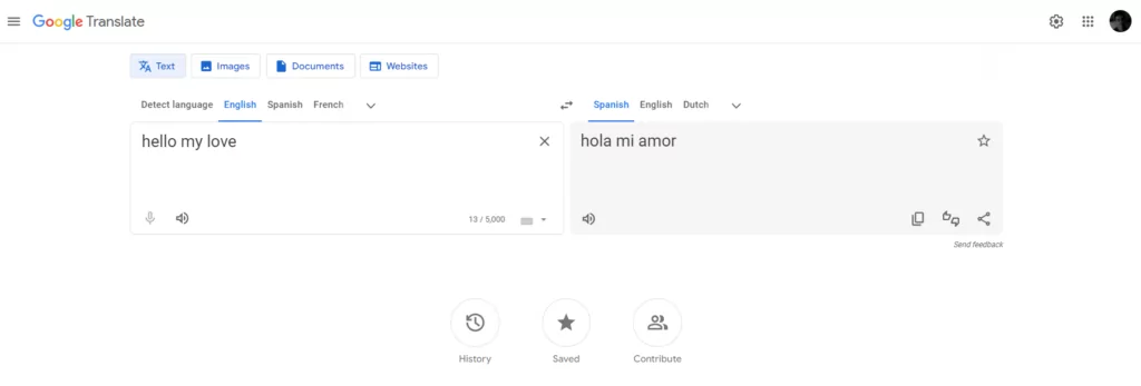 google translate main translation interface