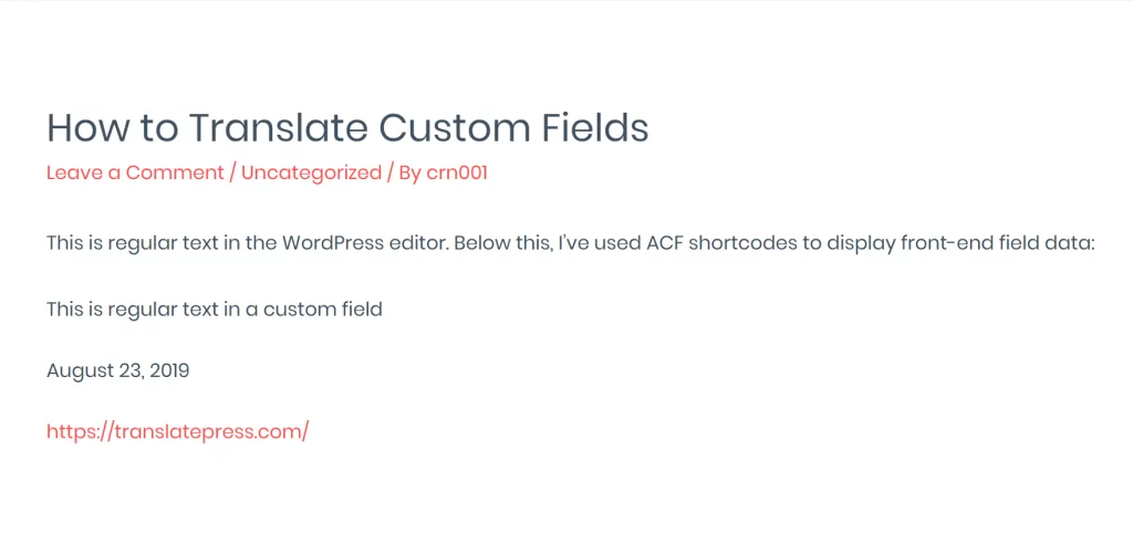 Example of custom fields in WordPress