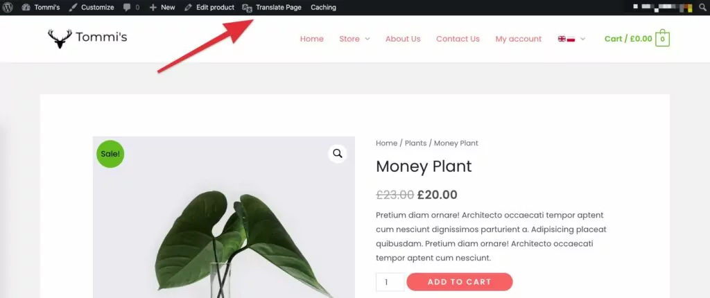 TranslatePress WooCommerce product